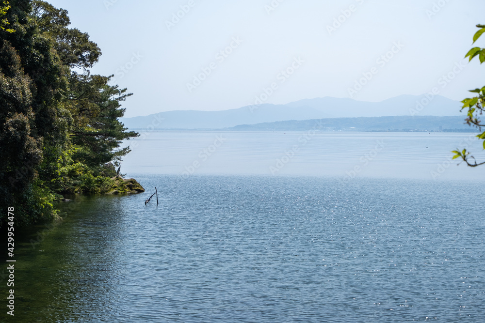 風景素材 新緑の季節の琵琶湖 海津大崎 風景素材 新緑の季節の琵琶湖 海津大崎