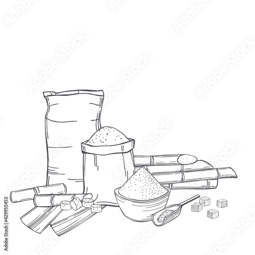 Sugarcane and sugar. Vector background.