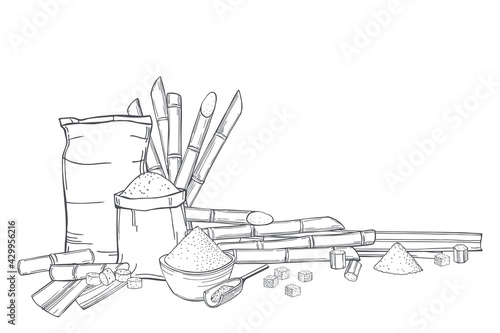 Sugarcane and sugar. Vector background.