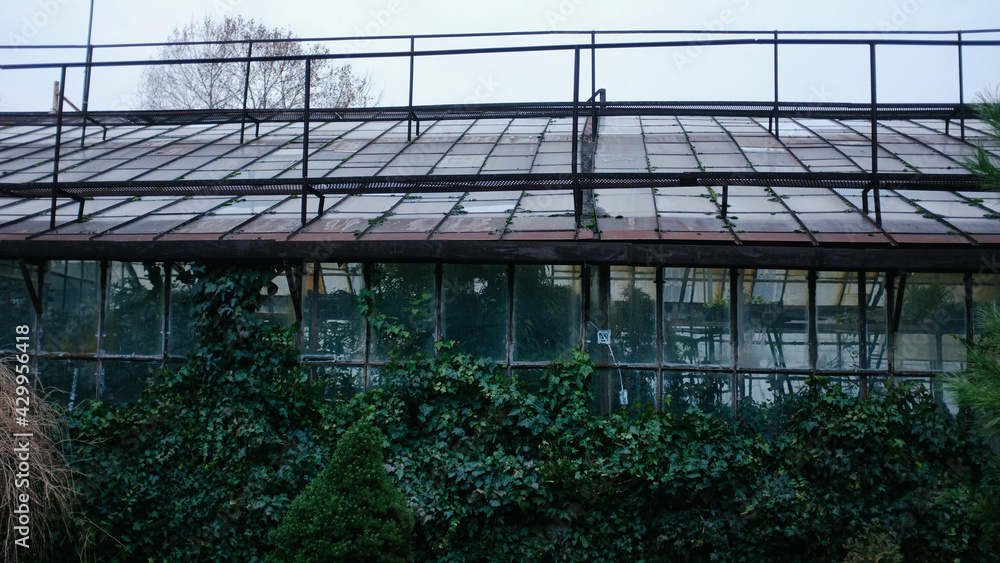 Greenhouse for growing plants, greenhouse