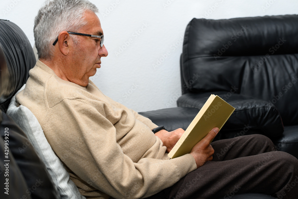 Fototapeta premium Man with glasses reading a book on the sofa