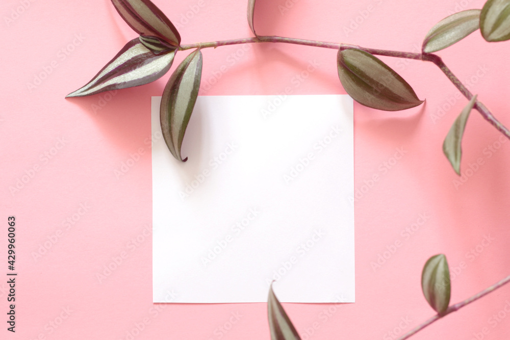 top view of empty white paper page on pink background with green plant leafs top view of empty white paper page on pink background with green plant leafs