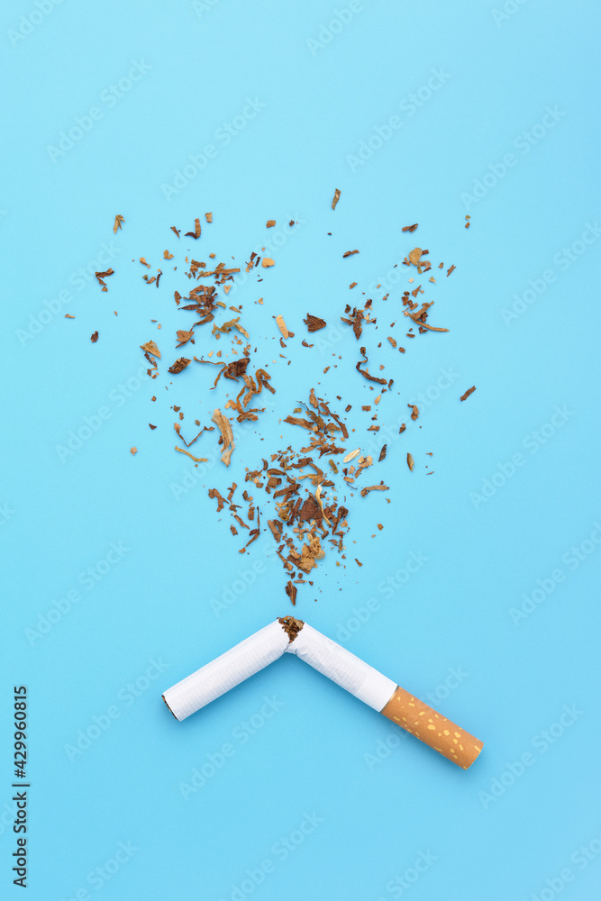 A broken cigarette with tobacco splash. Quit smoking concept. No ...