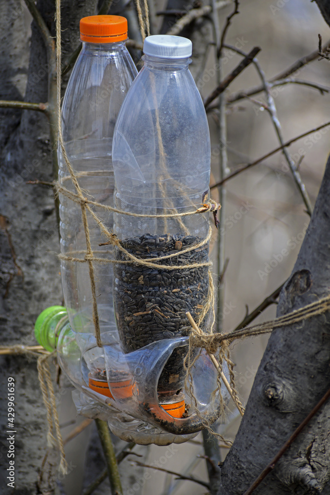 Obraz premium Bird feeder made of plastic water bottle close-up