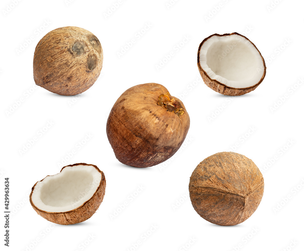 Collection of coconut isolated on white Background