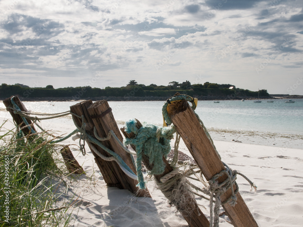 Paravent De Plage Ladeheid Avec Poteaux Bois – 5 Mètres De Long, 1m De Haut, Protection Vent Et Intimité