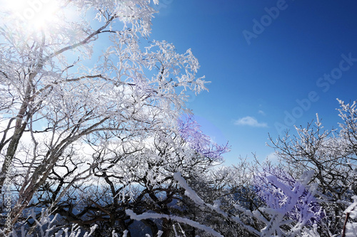 Winter snow scenery at Gyebangsan Mountain, Korea
