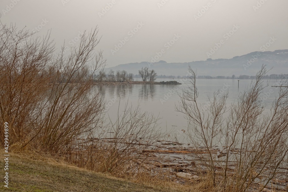 2021 - 02 - Rheindamm - Rheindamm 29 2021 - 02 - Rheindamm - Rheindamm 29