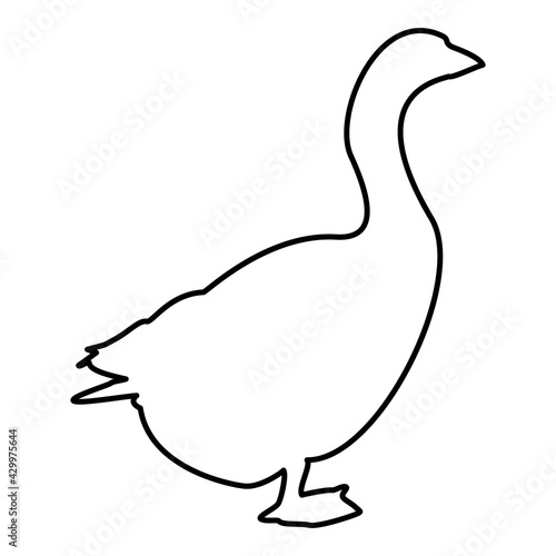 Goose Gosling Geese Anser Gander contour outline black color vector illustration flat style image