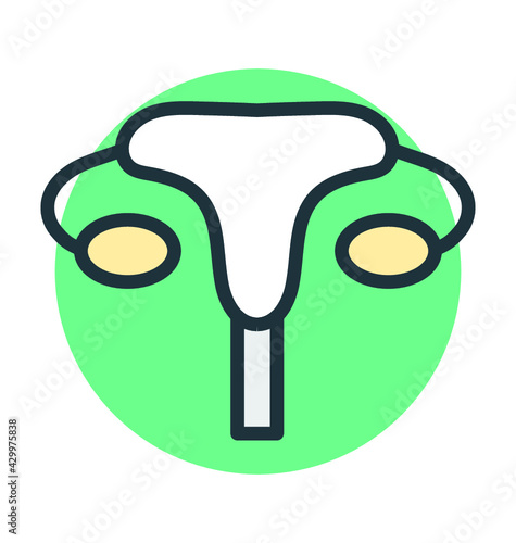 Excretory System 