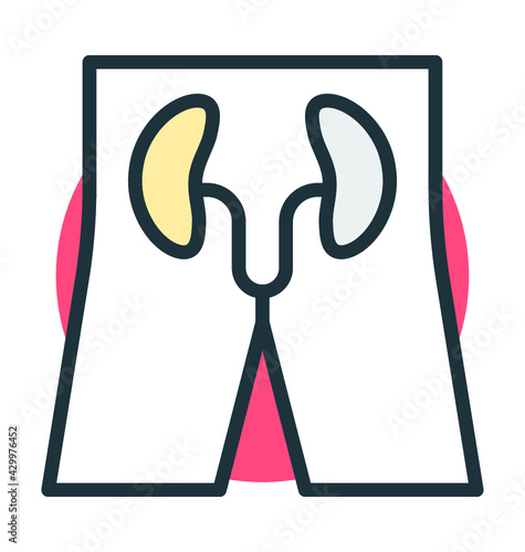 Kidneys 