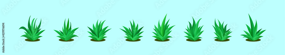 set of maguey plant cartoon icon design template with various models. vector illustration isolated on green background set of maguey plant cartoon icon design template with various models. vector illustration isolated on green background