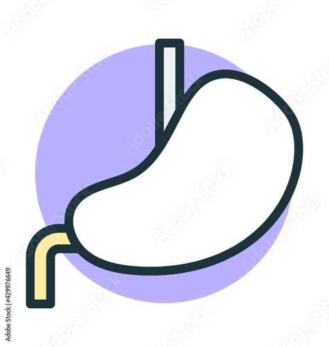 Stomach 