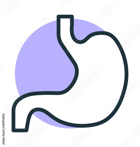 Stomach 