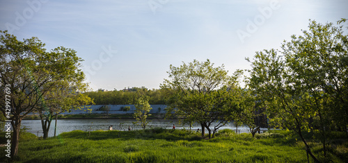 Tableau sur toile 따스한 봄 한강 풍경