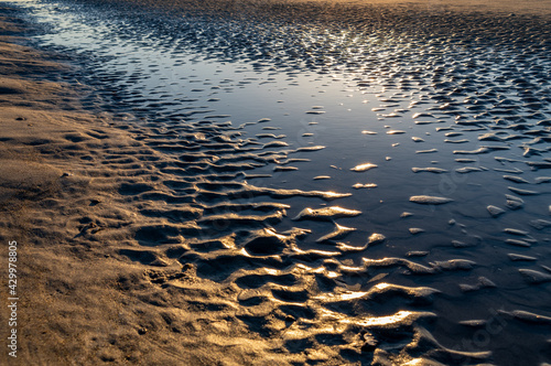 Photo of Tidal Pool in Mud Flats with sand patterns