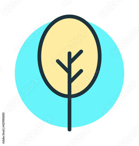 Cypress Tree