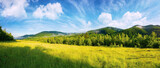 forest on the grassy meadow in the morning. beautiful countryside landscape in summertime. fog above the trees spreads from the distant mountains beneath a gorgeous sky with clouds