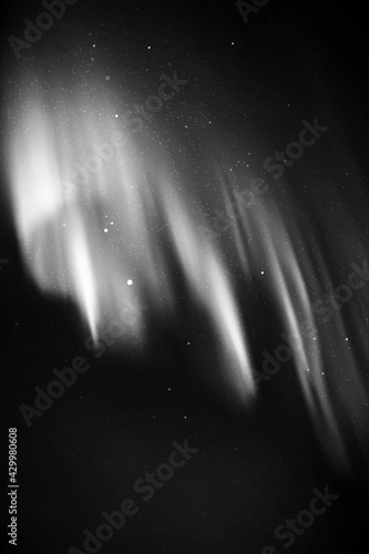 Night starry sky. Northern lights, aurora borealis. Black white vector