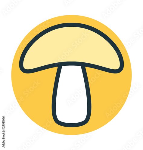 Common Mushroom 