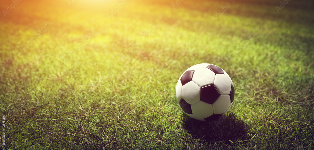 Fototapeta premium Football soccer ball on grass field