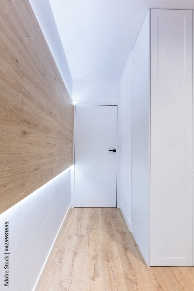 Corridor in modern design apartment. Corridor in modern design apartment.