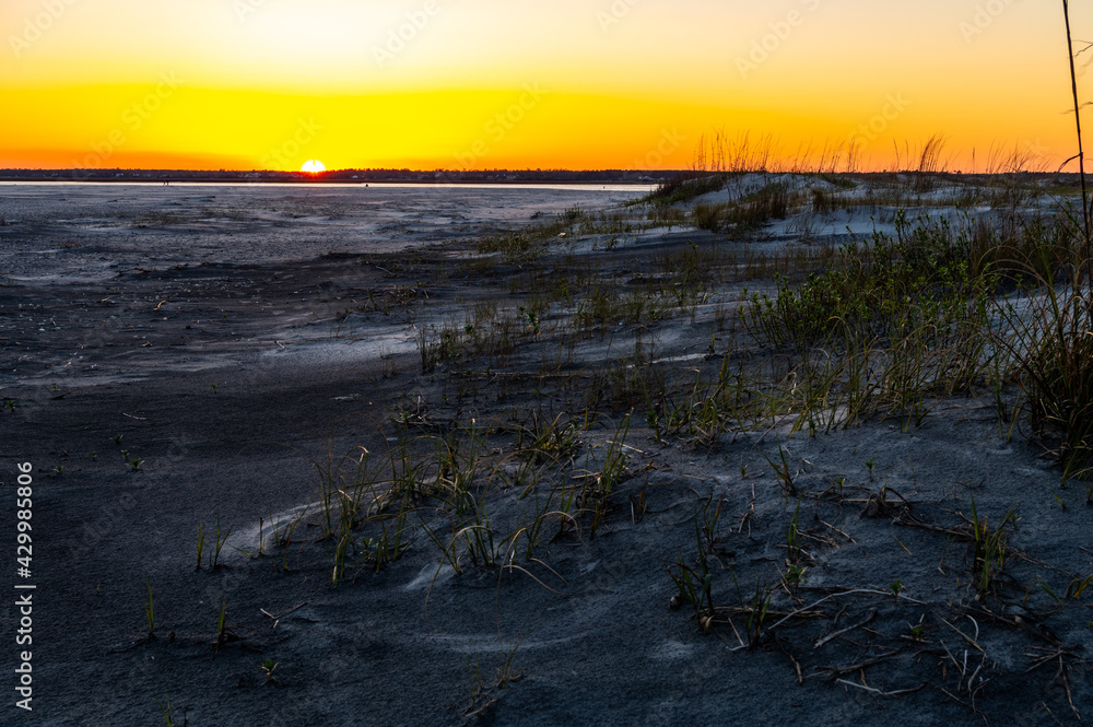 Obraz premium Dune Grass Sunset