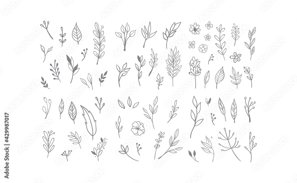 Hand drawn floral elements. Swirls, laurels, arrows, leaves, flowers and branches. Doodle botanical elements. Hand drawn floral elements. Swirls, laurels, arrows, leaves, flowers and branches. Doodle botanical elements.