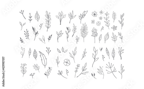 Hand drawn floral elements. Swirls, laurels, arrows, leaves, flowers and branches. Doodle botanical elements.