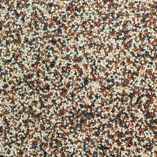 Seeds of quinoa