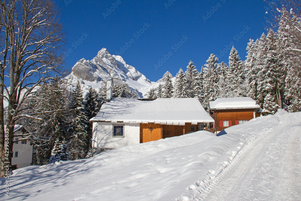 Winter in alps