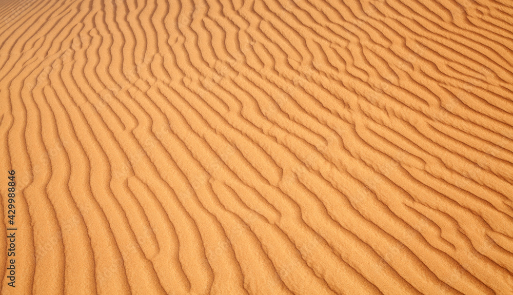 Red sand desert Red sand desert