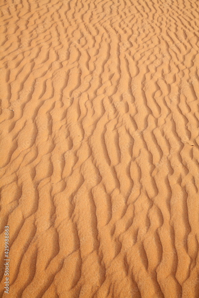Red sand desert Red sand desert