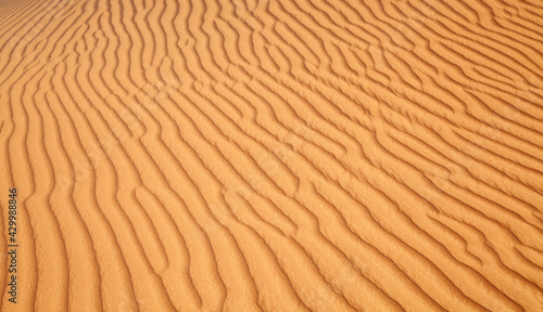 Red sand desert