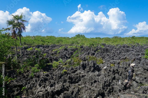 фотографія Hell in the Cayman Islands