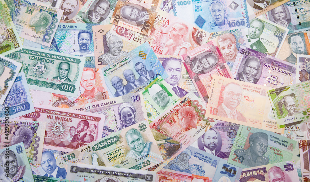 Variety of the African banknotes