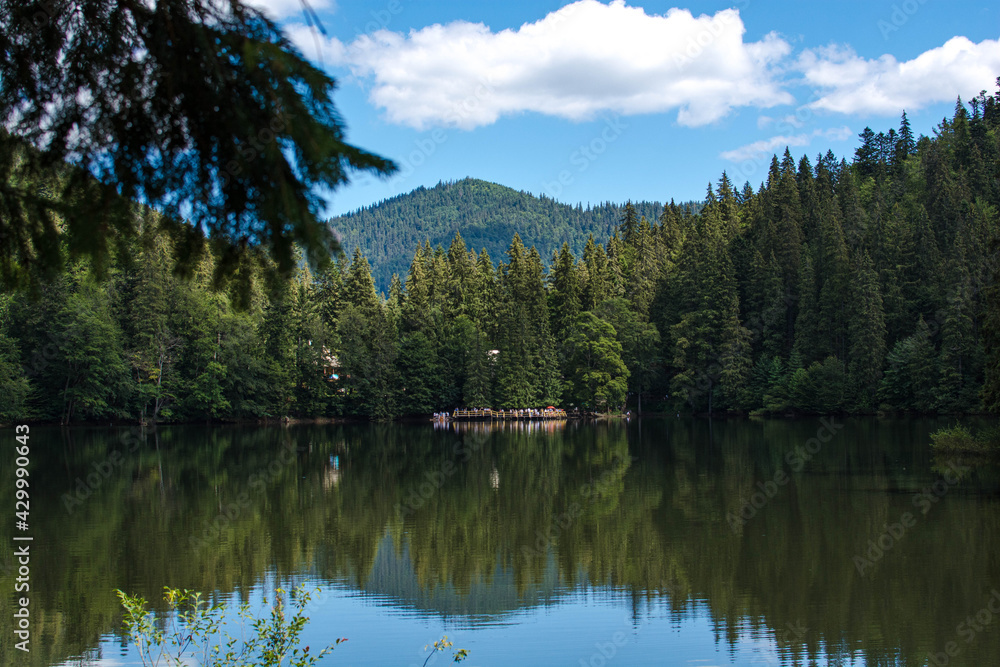 Fototapeta premium Synevir lake in the mountains