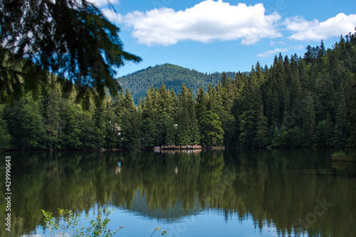 Synevir lake in the mountains