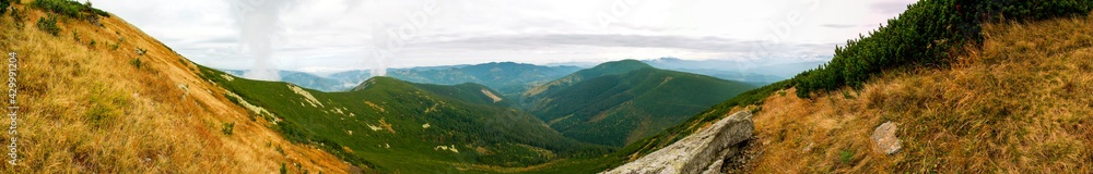 beautiful panorama with alpine pine and mountains under blue sky beautiful panorama with alpine pine and mountains under blue sky