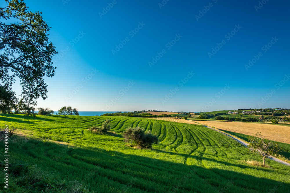 Beautiful sunrise in the countryside of Marche in a summer morning