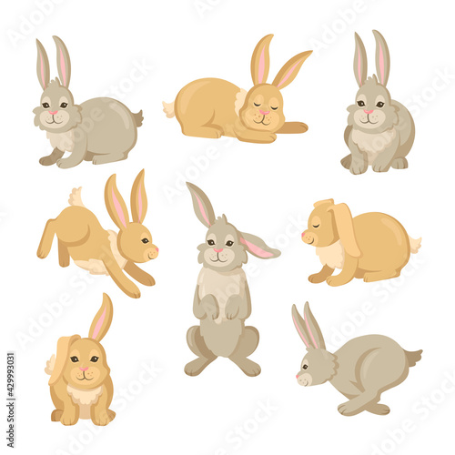 Grey and brown cartoon rabbit and hare characters set. Cute Easter bunnies running, jumping, sitting, sleeping. Vector illustration isolated in white background. Easter, farm, animal concept