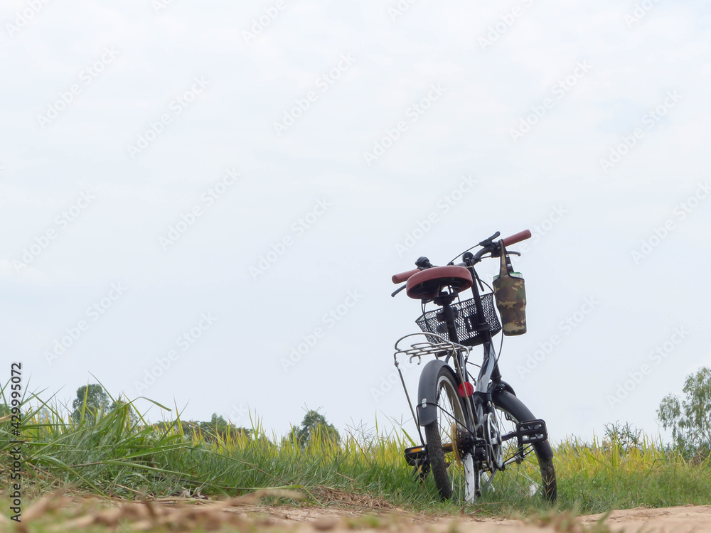 Obraz premium bicycle