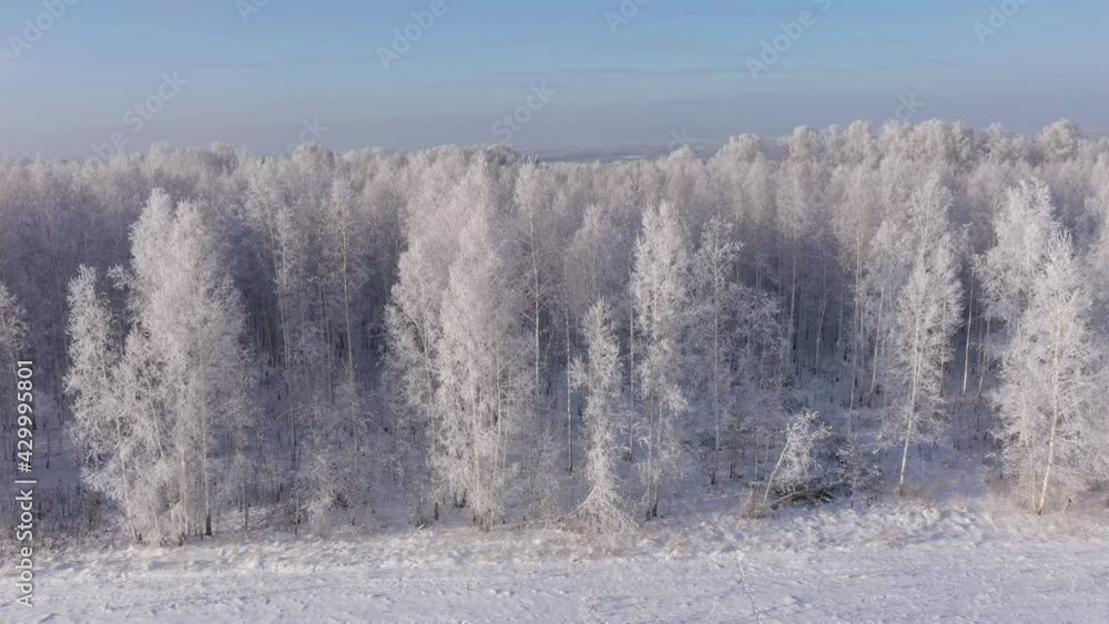 Aerial Shot of Snow White Forest Covered With Hoarfrost. Aerial Shot of Snow White Forest Covered With Hoarfrost.