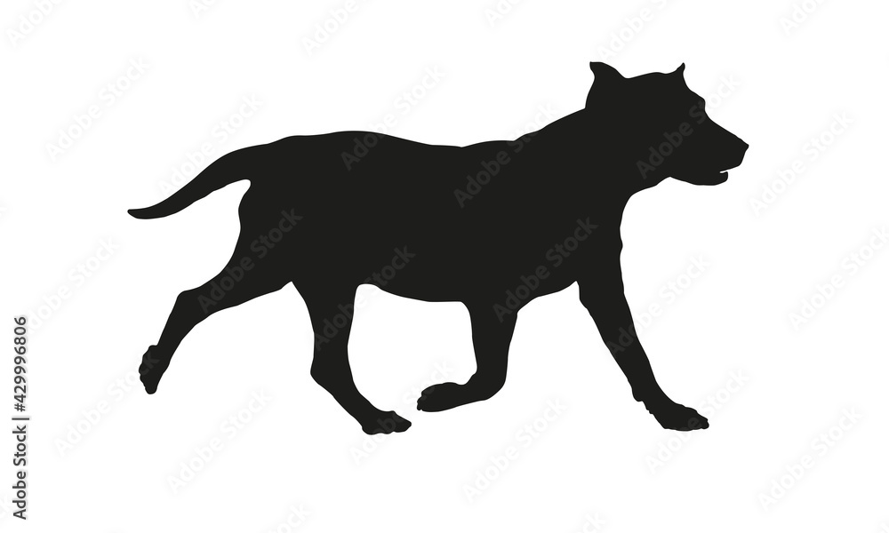 Running labrador retriever puppy. Black dog silhouette. Isolated on a white background.