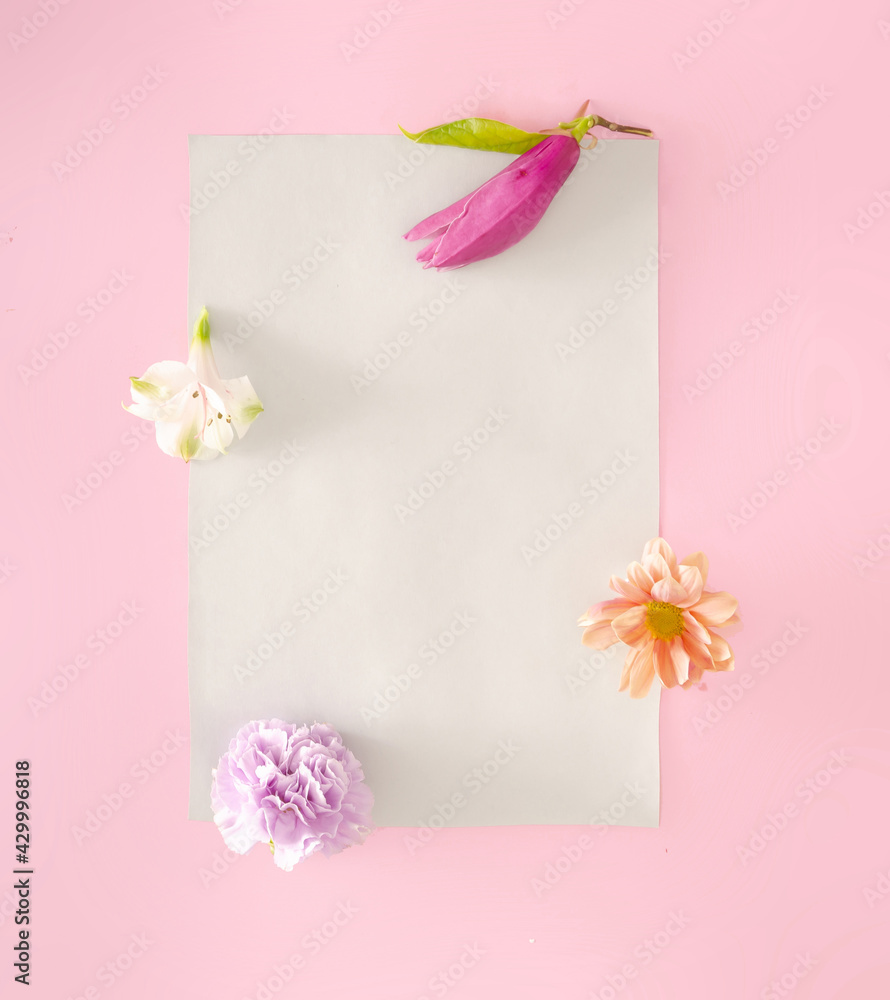 Creative nature arraignment. Various spring flowers  on  gray and pink background.