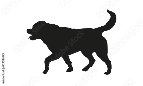 Black dog silhouette. Running rottweiler puppy. Isolated on a white background.