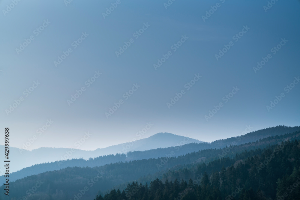 Germany, Black forest, Majestic endless forested mountains covered with conifer trees nature landscape panorama view with blue sky