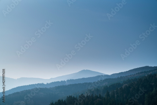 Germany, Black forest, Majestic endless forested mountains covered with conifer trees nature landscape panorama view with blue sky © Simon