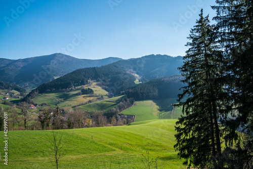 Germany  Black forest  Edge of the forest view above green fruitful meadows and endless forest panorama of black forest valley elztal with houses