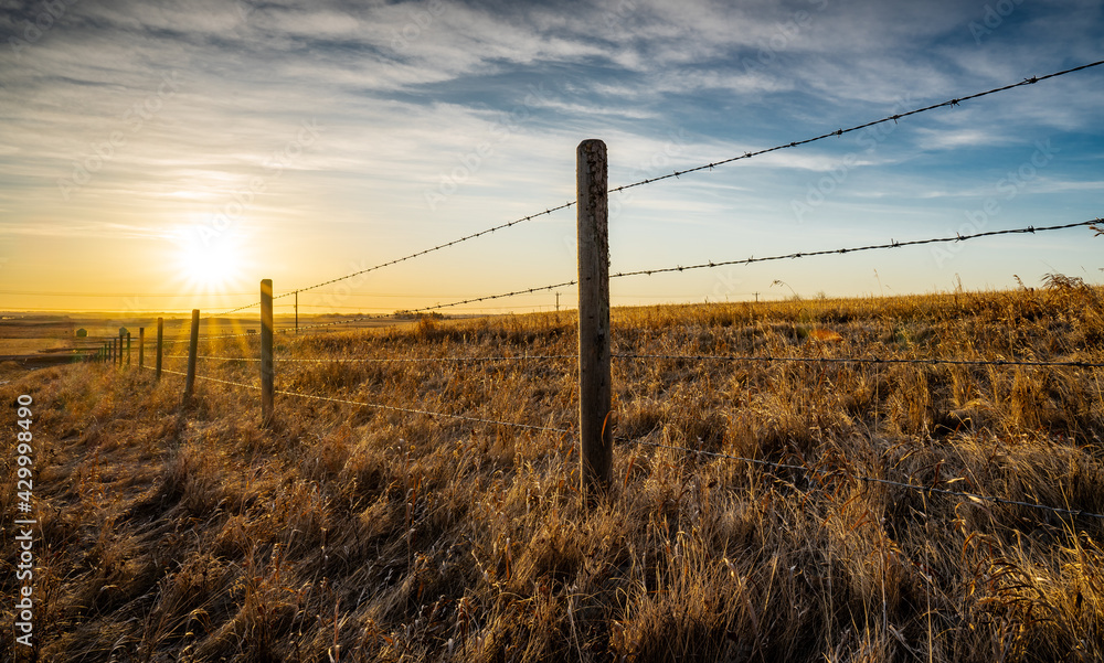 Sunrise behind a wooden barbed wire fence over natural prairie grasslands in Alberta Canada.